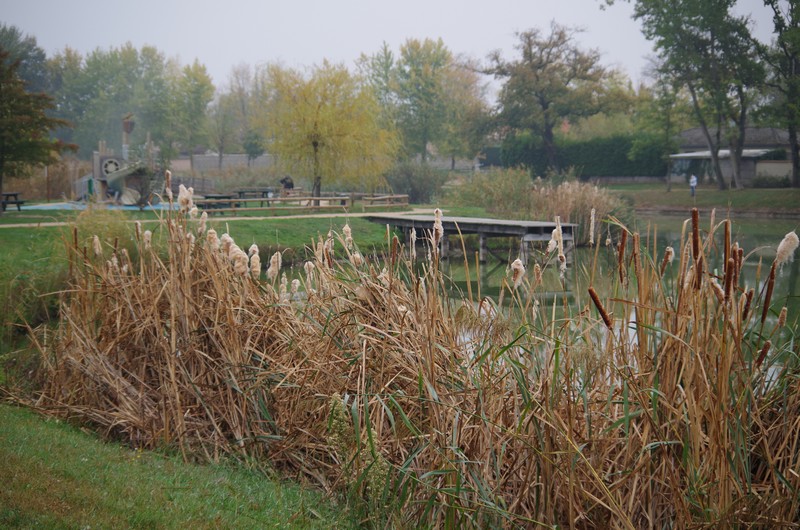 IMGP6633