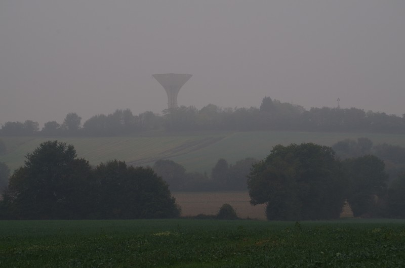 IMGP6654